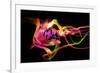 Flower a Lily & Night Neon Lights--Vladimir--Framed Photographic Print