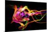 Flower a Lily & Night Neon Lights--Vladimir--Mounted Photographic Print