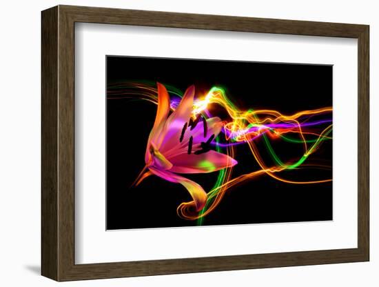 Flower a Lily & Night Neon Lights--Vladimir--Framed Photographic Print