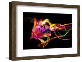 Flower a Lily & Night Neon Lights--Vladimir--Framed Photographic Print