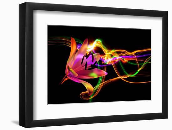 Flower a Lily & Night Neon Lights--Vladimir--Framed Photographic Print