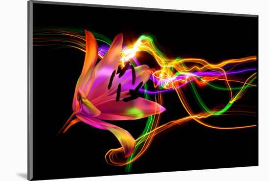 Flower a Lily & Night Neon Lights--Vladimir--Mounted Photographic Print