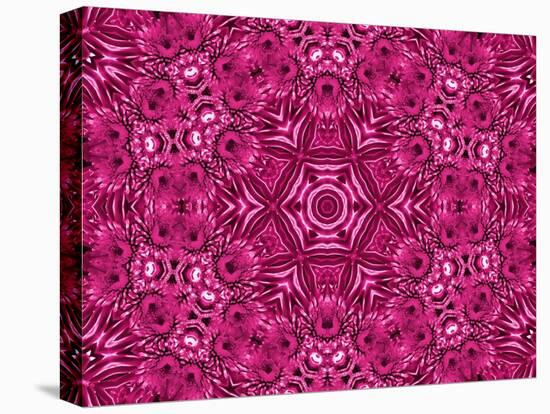 Flower Abstract Pattern-Dink101-Stretched Canvas