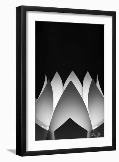 Flower Abstract-5fishcreative-Framed Premium Giclee Print