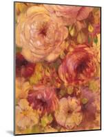 Flower Abundance 2-Vera Hills-Mounted Art Print