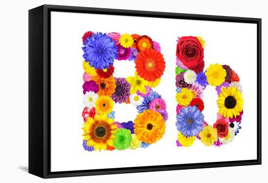 Flower Alphabet Isolated On White - Letter B-tr3gi-Framed Stretched Canvas