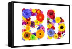 Flower Alphabet Isolated On White - Letter B-tr3gi-Framed Stretched Canvas