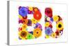 Flower Alphabet Isolated On White - Letter B-tr3gi-Stretched Canvas