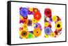 Flower Alphabet Isolated On White - Letter B-tr3gi-Framed Stretched Canvas