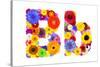 Flower Alphabet Isolated On White - Letter B-tr3gi-Stretched Canvas