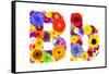 Flower Alphabet Isolated On White - Letter B-tr3gi-Framed Stretched Canvas