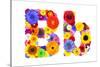 Flower Alphabet Isolated On White - Letter B-tr3gi-Stretched Canvas