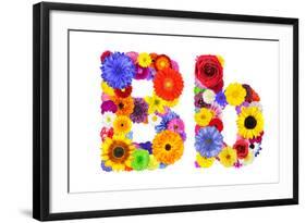 Flower Alphabet Isolated On White - Letter B-tr3gi-Framed Art Print