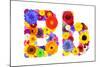 Flower Alphabet Isolated On White - Letter B-tr3gi-Mounted Art Print