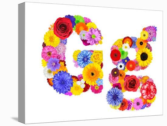 Flower Alphabet Isolated On White - Letter G-tr3gi-Stretched Canvas