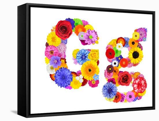 Flower Alphabet Isolated On White - Letter G-tr3gi-Framed Stretched Canvas