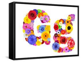 Flower Alphabet Isolated On White - Letter G-tr3gi-Framed Stretched Canvas