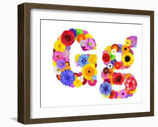 Flower Alphabet Isolated On White - Letter G-tr3gi-Framed Art Print