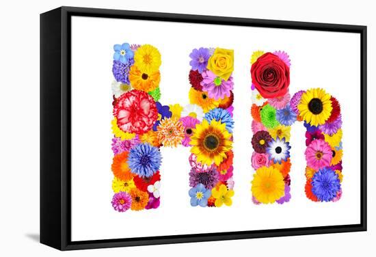 Flower Alphabet Isolated On White - Letter H-tr3gi-Framed Stretched Canvas