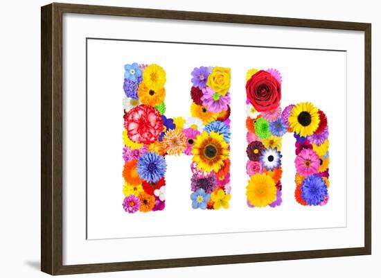 Flower Alphabet Isolated On White - Letter H-tr3gi-Framed Art Print