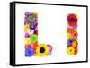 Flower Alphabet Isolated On White - Letter L-tr3gi-Framed Stretched Canvas