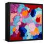 Flower Amoebic Party I-Ann Marie Coolick-Framed Stretched Canvas