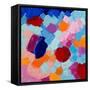 Flower Amoebic Party II-Ann Marie Coolick-Framed Stretched Canvas