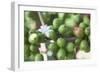 Flower and Coffee Cherries-Paul Souders-Framed Photographic Print