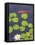 Flower and Gold Fish in Lily Pond in the Chinese Garden, Suzhou, Jiangsu Province, China-Keren Su-Framed Stretched Canvas