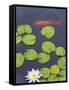 Flower and Gold Fish in Lily Pond in the Chinese Garden, Suzhou, Jiangsu Province, China-Keren Su-Framed Stretched Canvas