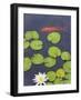 Flower and Gold Fish in Lily Pond in the Chinese Garden, Suzhou, Jiangsu Province, China-Keren Su-Framed Photographic Print