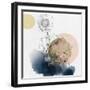 Flower and Watercolor Circles-Bay Solace-Framed Art Print