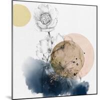 Flower and Watercolor Circles-Bay Solace-Mounted Art Print