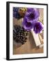 Flower, Anemone, Blossom, Grapes, Newspaper-Nikky Maier-Framed Photographic Print
