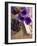 Flower, Anemone, Blossom, Grapes, Newspaper-Nikky Maier-Framed Photographic Print