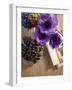 Flower, Anemone, Blossom, Grapes, Newspaper-Nikky Maier-Framed Photographic Print