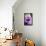 Flower, Anemone, Blossom-Nikky Maier-Framed Stretched Canvas displayed on a wall