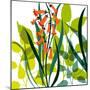 Flower Applique II-Laure Girardin-Vissian-Mounted Giclee Print