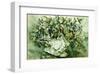 Flower Aquarel I-Elizabeth Veltman-Adriaansz-Framed Art Print