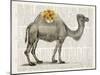 Flower Back Camel-Christopher James-Mounted Art Print
