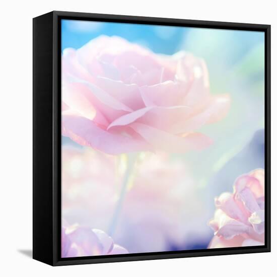 Flower Background-Timofeeva Maria-Framed Stretched Canvas