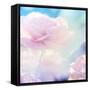 Flower Background-Timofeeva Maria-Framed Stretched Canvas