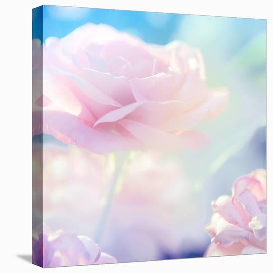 Flower Background-Timofeeva Maria-Stretched Canvas