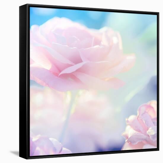 Flower Background-Timofeeva Maria-Framed Stretched Canvas