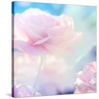 Flower Background-Timofeeva Maria-Stretched Canvas