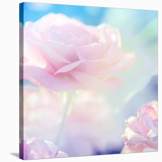 Flower Background-Timofeeva Maria-Stretched Canvas