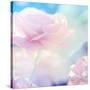 Flower Background-Timofeeva Maria-Stretched Canvas