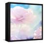 Flower Background-Timofeeva Maria-Framed Stretched Canvas
