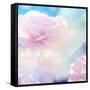 Flower Background-Timofeeva Maria-Framed Stretched Canvas