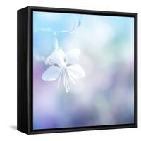 Flower Background-Timofeeva Maria-Framed Stretched Canvas